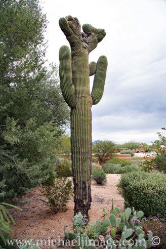 Scottsdale, AZ.